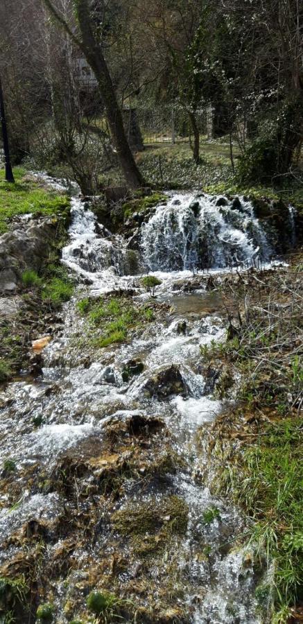 Vila Camelia Galambóc Kültér fotó